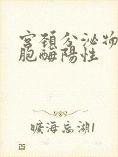 宫颈分泌物白细胞酶阳性