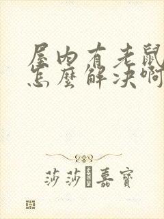 屋内有老鼠尿味怎么解决啊