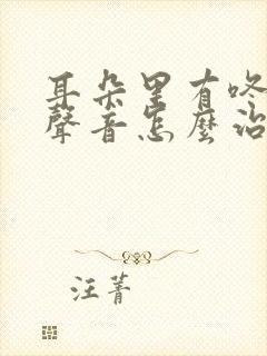 耳朵里有咚咚的声音怎么治疗