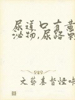 尿道口有黄色分泌物,尿路刺痛