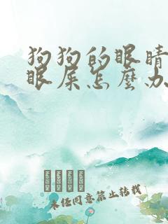 狗狗的眼睛很多眼屎怎么办