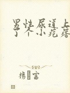 男性尿道上面长了个小疙瘩