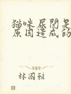 猫咪尿闭是什么原因造成的