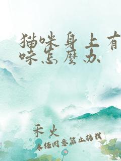 猫咪身上有尿骚味怎么办