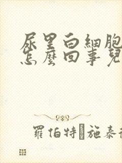 尿里白细胞高是怎么回事儿