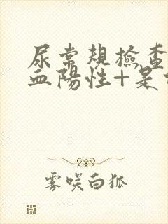 尿常规检查,隐血阳性+是什么意思