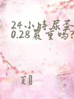 24小时尿蛋白0.28严重吗?