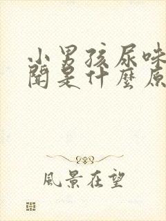 小男孩尿味大难闻是什么原因