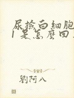 尿检白细胞酯酶1 是怎么回事