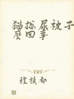 猫总尿被子上怎么回事