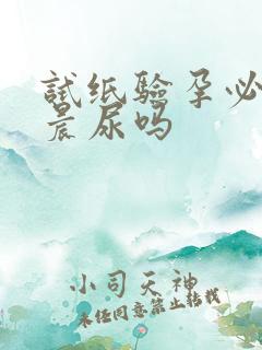 试纸验孕必须用晨尿吗