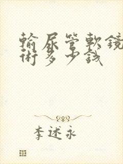 输尿管软镜取石术多少钱