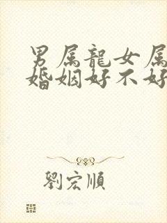 男属龙女属鸡的婚姻好不好