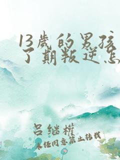 13岁的男孩到了期叛逆怎么教