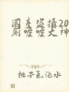 国产盗摄20女厕嘘嘘大神级