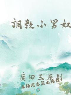 调教小男奴小说