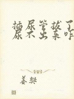 插尿管拔了以后尿不出来咋办