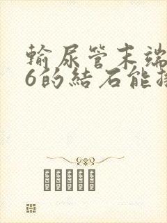 输尿管末端0.6的结石能排出吗