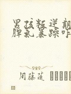 男孩叛逆期严重脾气暴躁咋办