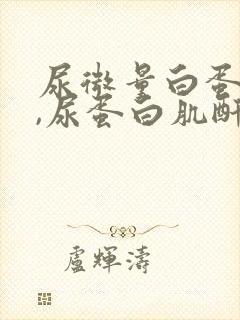 尿微量白蛋白高,尿蛋白肌酐高