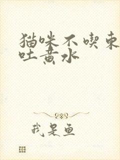 猫咪不吃东西,吐黄水