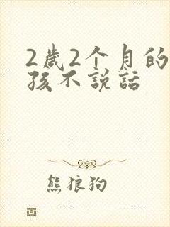 2岁2个月的小孩不说话