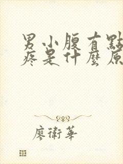 男小腹有点隐隐疼是什么原因