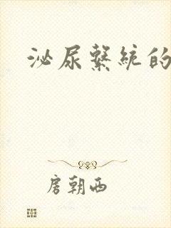 泌尿系统的症状