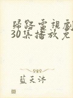 归路电视剧全集30集播放免费观看