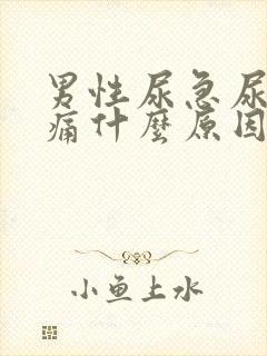 男性尿急尿频尿痛什么原因导致的