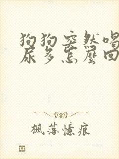 狗狗突然喝水多尿多怎么回事