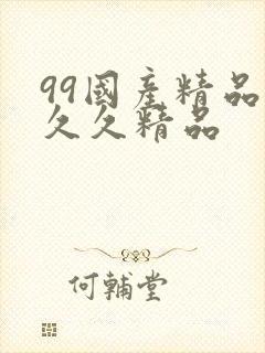 99国产精品久久久精品