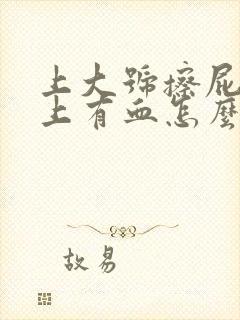 上大号擦屁股纸上有血怎么回事