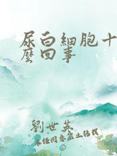 尿白细胞十1怎么回事