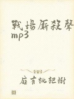 战场厮杀声音效mp3