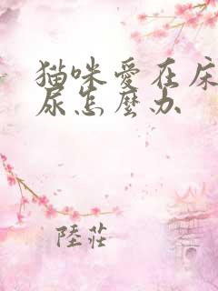 猫咪爱在床上撒尿怎么办