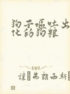 狗子呕吐出未消化的狗粮