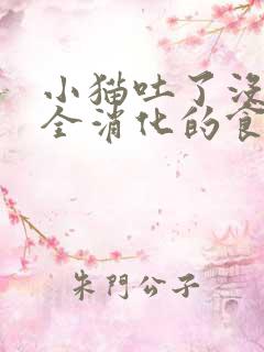 小猫吐了没有完全消化的食物