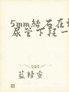 5mm结石在输尿管下段一般多久能排出