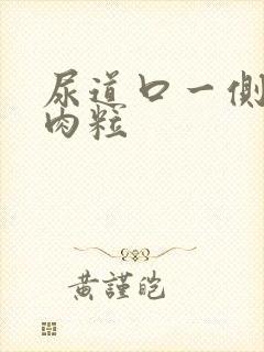 尿道口一侧长小肉粒