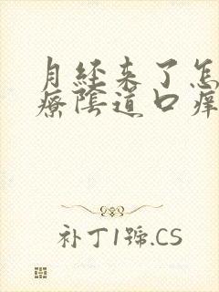 月经来了怎么治疗阴道口痒