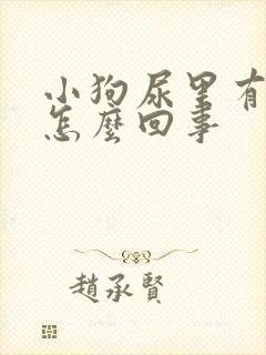 小狗尿里有血是怎么回事