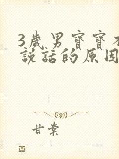 3岁男宝宝不会说话的原因