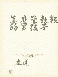 怎么管教叛逆期的男孩子