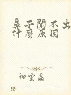 鼻子闻不出味道什么原因