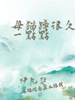 母猫蹲很久就尿一点点