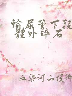 输尿管下段结石 体外碎石