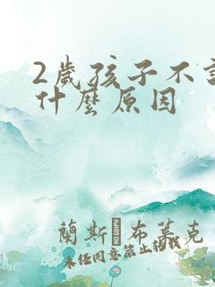 2岁孩子不说话什么原因