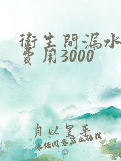 卫生间漏水维修费用3000