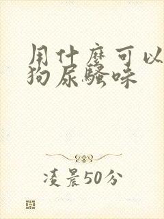 用什么可以去除狗尿骚味